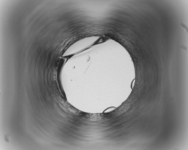 X0000099290384200805301117