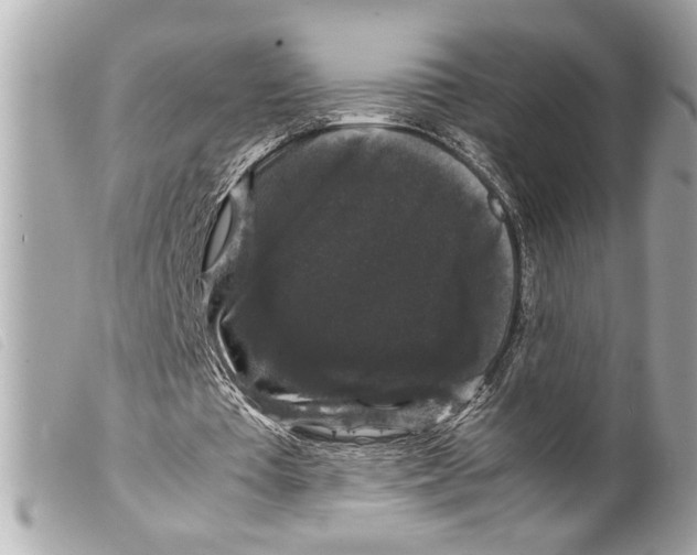X0000099290385200805301116