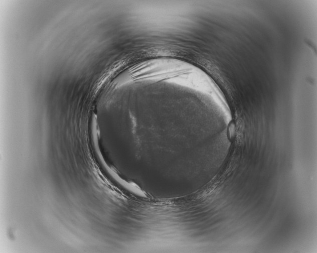X0000099290386200805301116