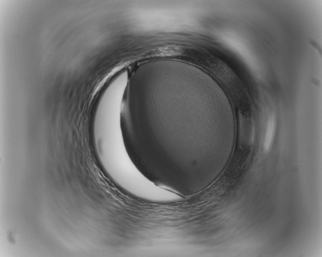 X0000099290387200805301116