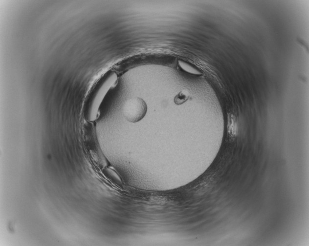 X0000099290388200805301116