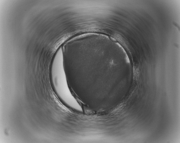 X0000099290389200805301116
