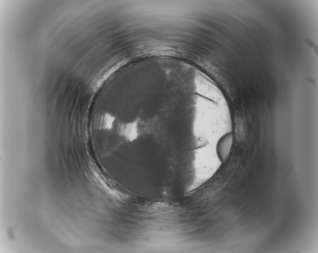 X0000099290390200805301116