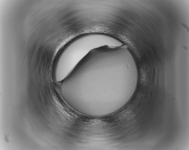 X0000099290392200805301116