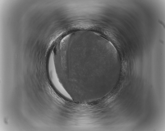 X0000099290399200805301116