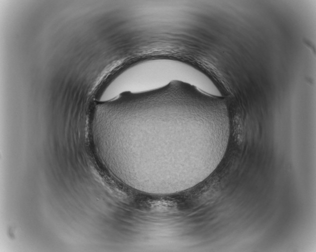 X0000099290400200805301116