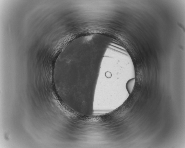X0000099290402200805301116