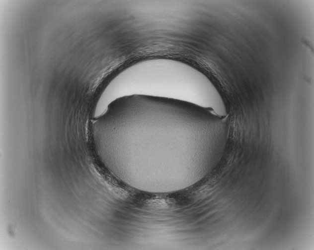 X0000099290404200805301116