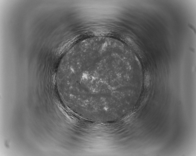 X0000099290405200805301116