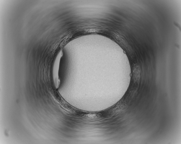 X0000099290406200805301116