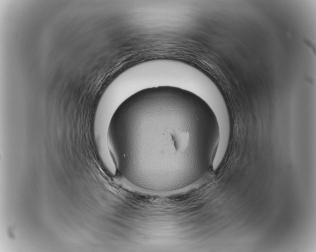 X0000099290409200805301116