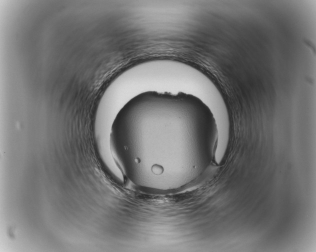 X0000099290411200805301116