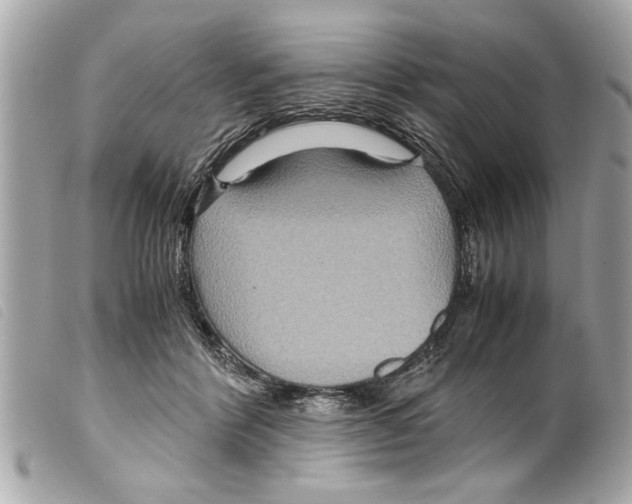 X0000099290412200805301116