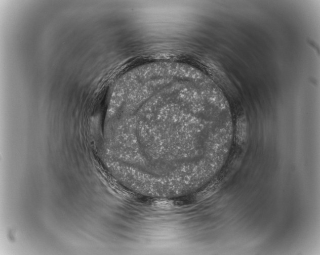 X0000099290413200805301116