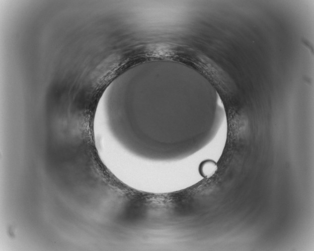 X0000099290415200805301116