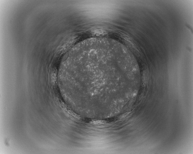 X0000099290417200805301116