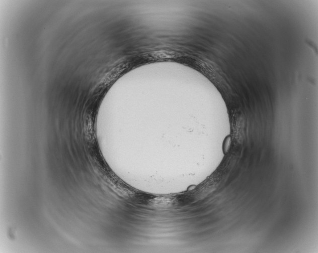 X0000099290418200805301116