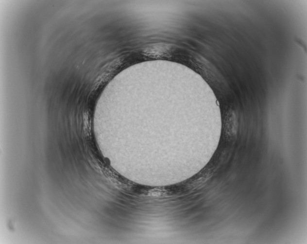 X0000099290420200805301116