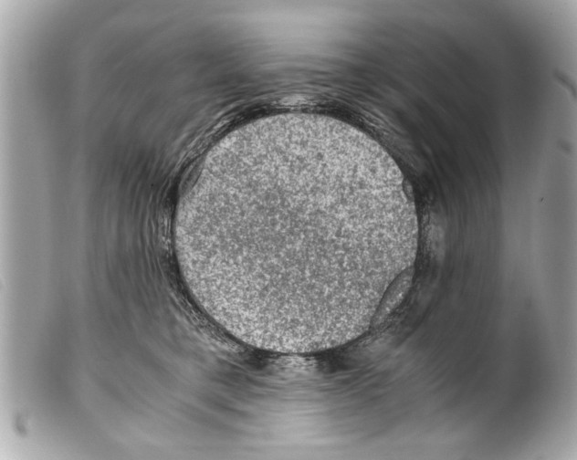 X0000099290421200805301116