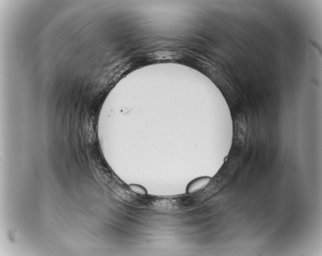 X0000099290422200805301116