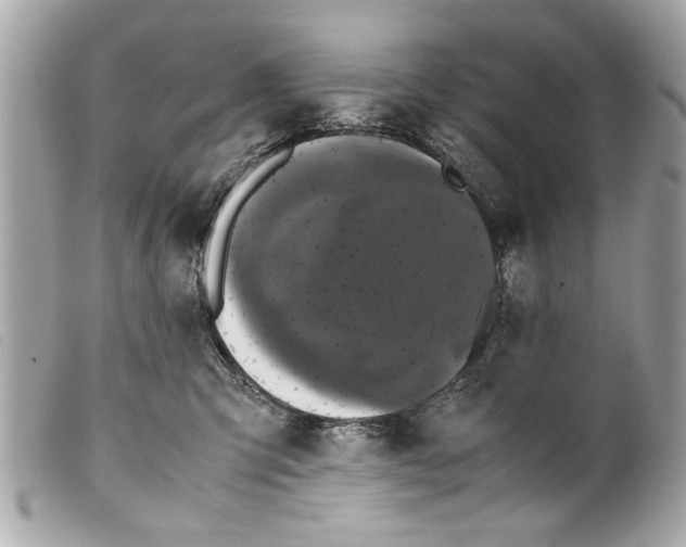 X0000099290423200805301116
