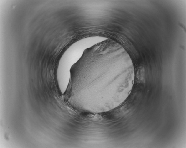 X0000099290424200805301116