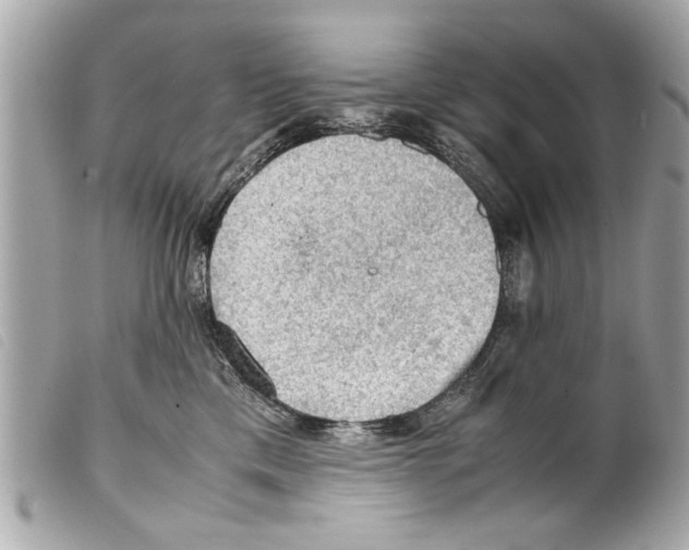 X0000099290425200805301116