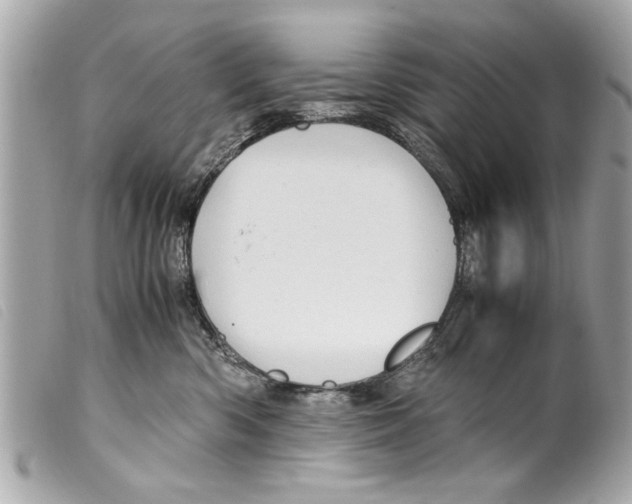 X0000099290426200805301116