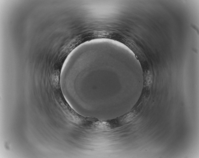 X0000099290427200805301116
