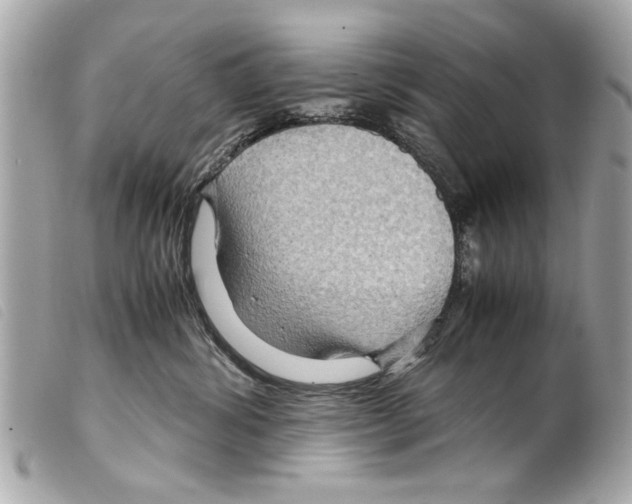 X0000099290428200805301116
