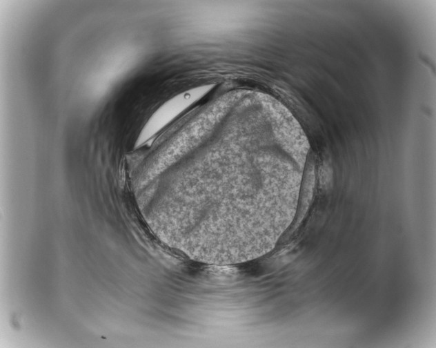 X0000099290429200805301116