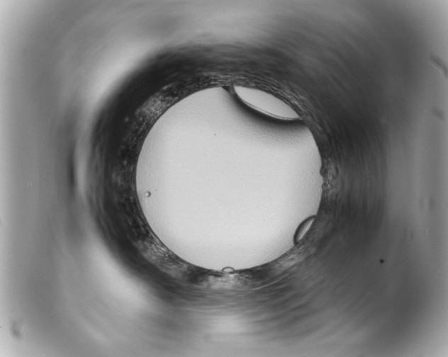 X0000099290430200805301116