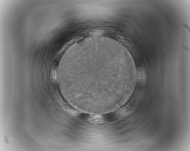 X0000099290431200805301116