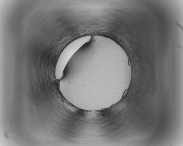 X0000099290432200805301116