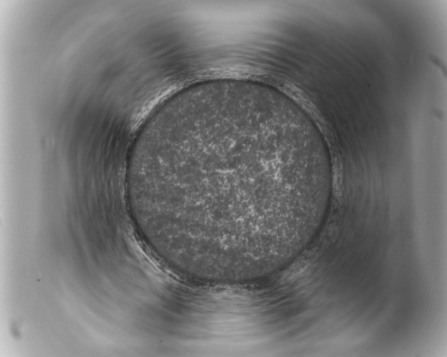 X0000099290434200805301115