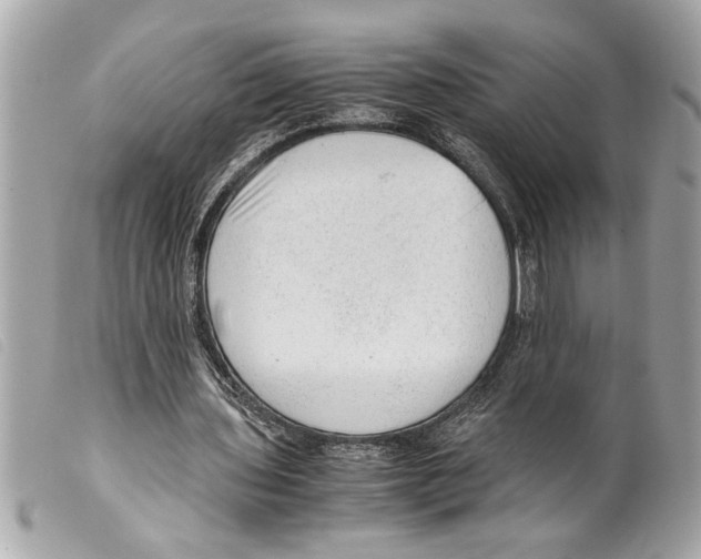 X0000099290435200805301115