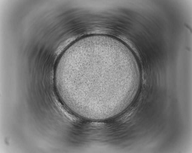 X0000099290437200805301115