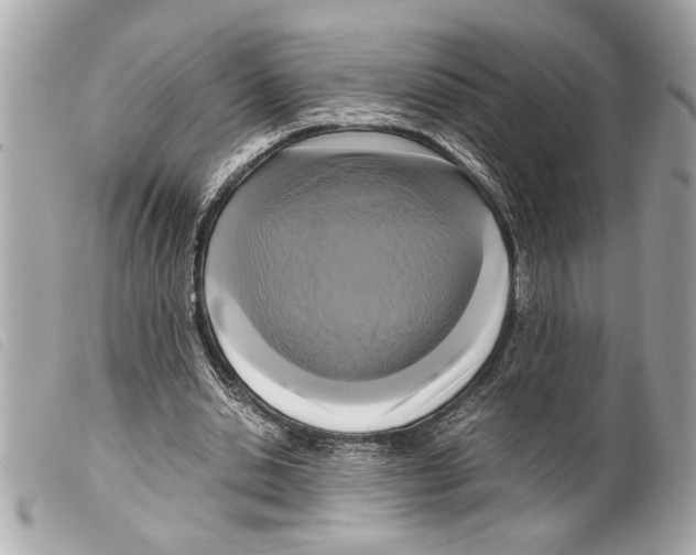 X0000099290438200805301115