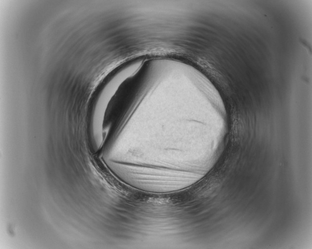 X0000099290440200805301115