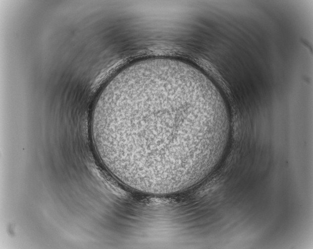 X0000099290442200805301115