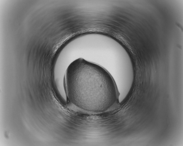 X0000099290444200805301115