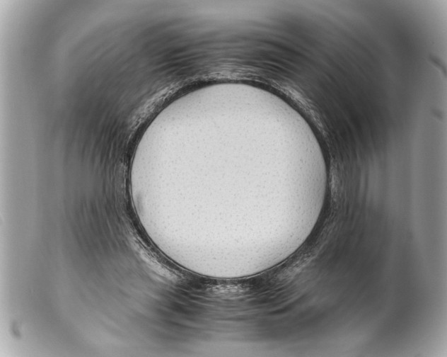 X0000099290445200805301115