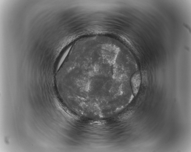 X0000099290447200805301115