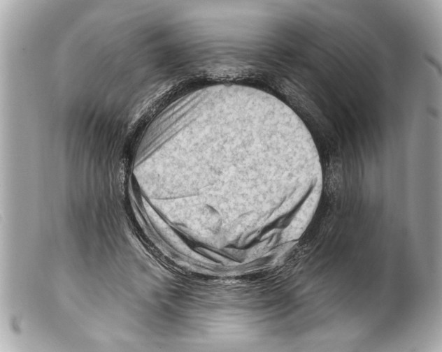 X0000099290448200805301115