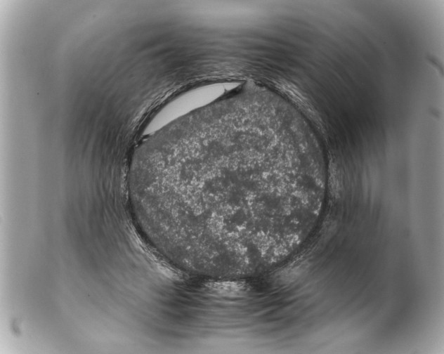 X0000099290449200805301115