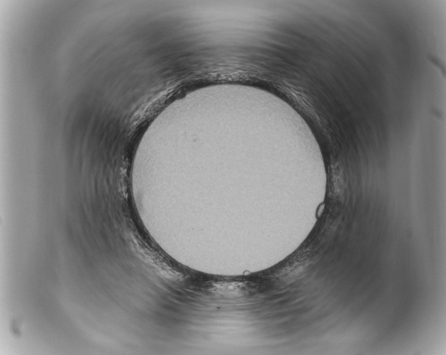 X0000099290450200805301115