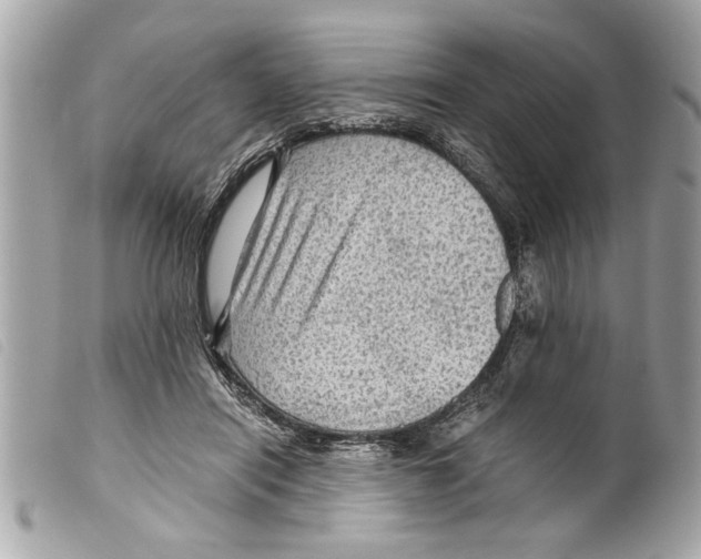X0000099290454200805301115