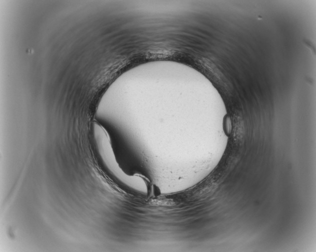 X0000099290455200805301116