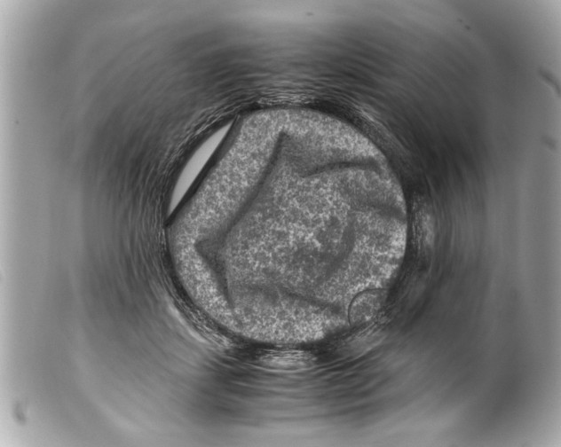 X0000099290459200805301116