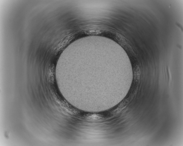X0000099290460200805301116